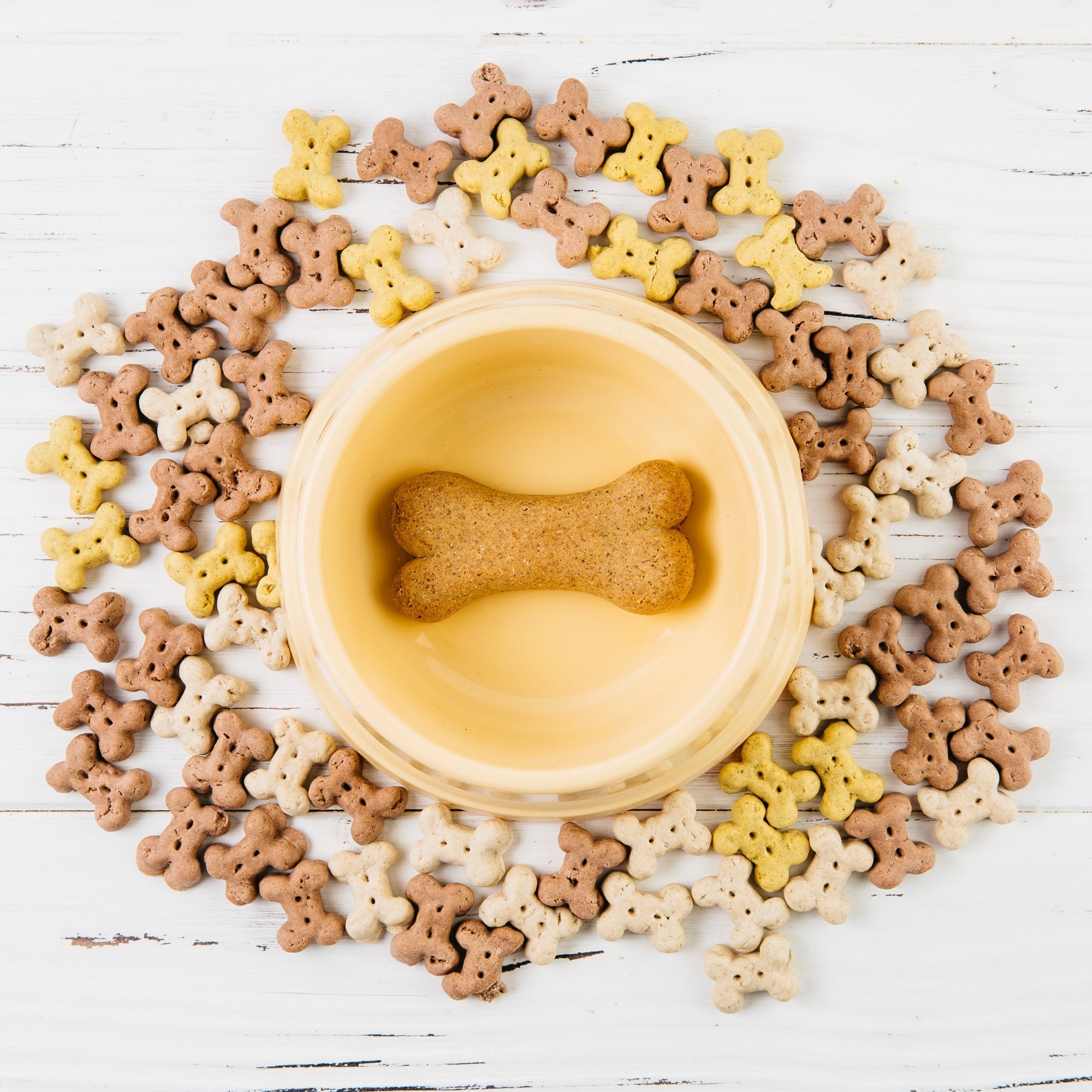 Healthy Treats 101 What to Look For and What to Avoid