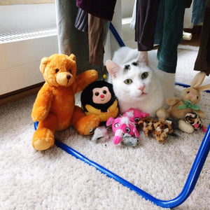 Choosing the Right Toys for Your Pet's Play Style